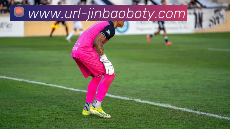 宝博体育APP 高清赛事图